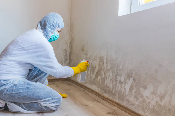 Mold inspector in Woodcliff Lake performing thermal imaging