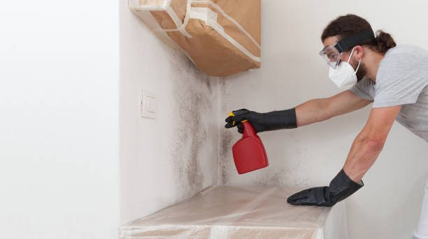 Basement Mold Remediation treatment on basement walls in Woodcliff Lake