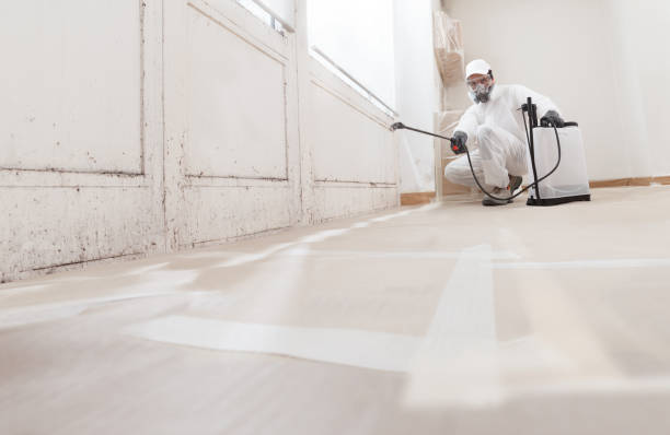 Black mold remediation team in Woodcliff Lake