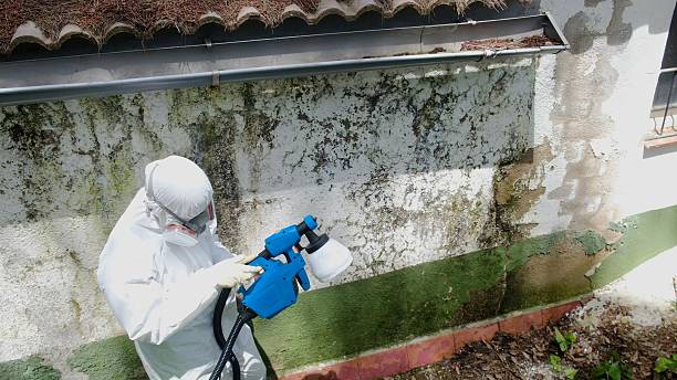 Mold Remediation service in Woodcliff Lake, Woodcliff Lake, NJ